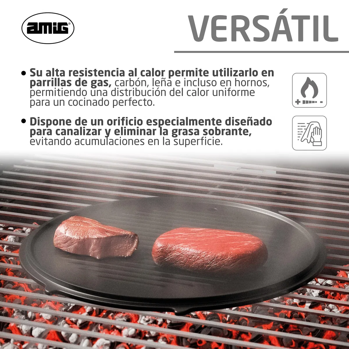 Amig - Plato de Hierro Fundido - Ø31 cm - Reparto Uniforme del Calor y Alta Resistencia - Para Barbacoas de Carbón o Gas - Mod. AM37