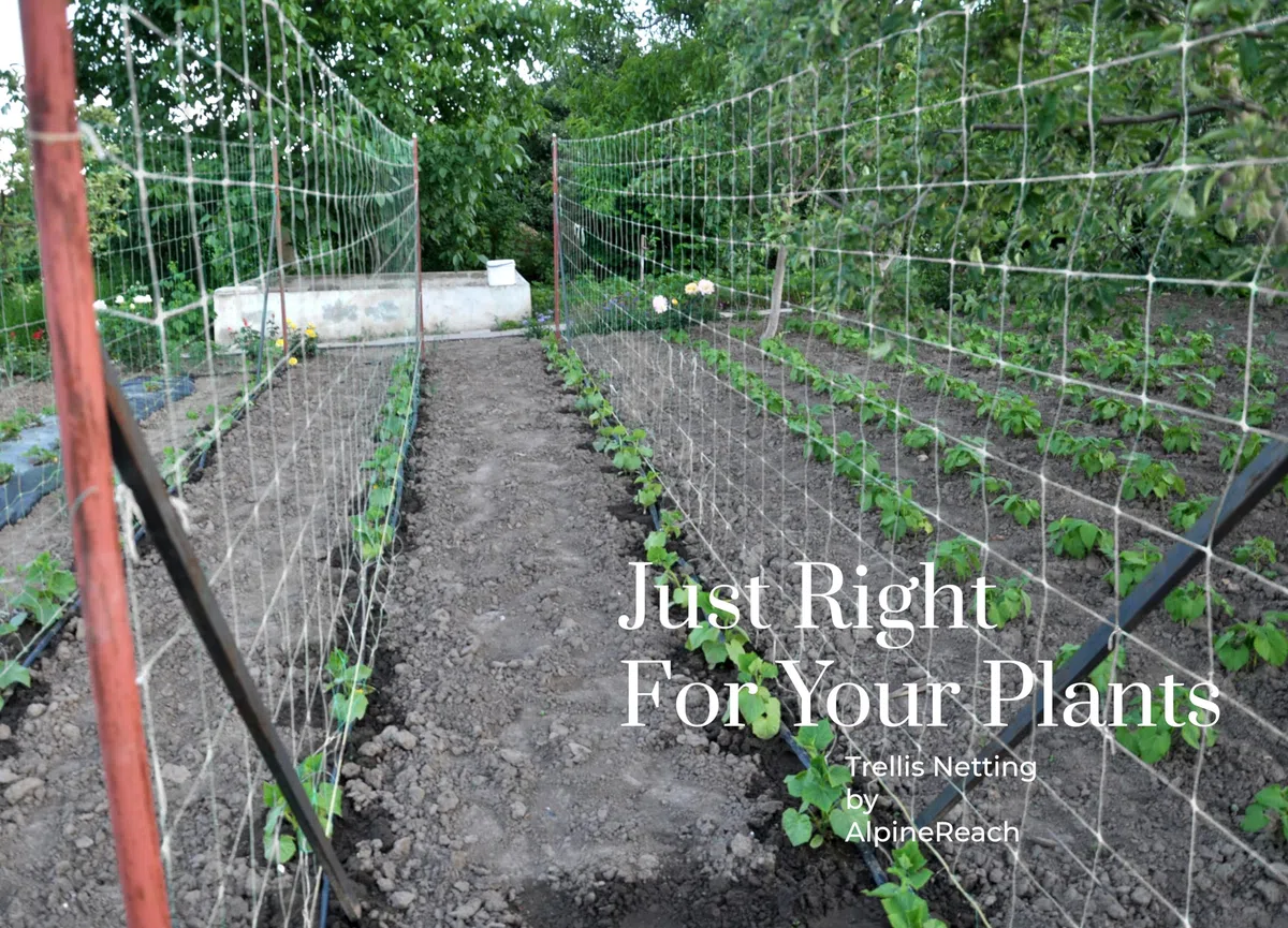AlpineReach 1,5m x 107m Red de Jardín, Red de Enrejado para Plantas, Tomates, Hortalizas, Plantas, Trepadoras, Red para Pájaros para Jardín e Invernadero, Blanco