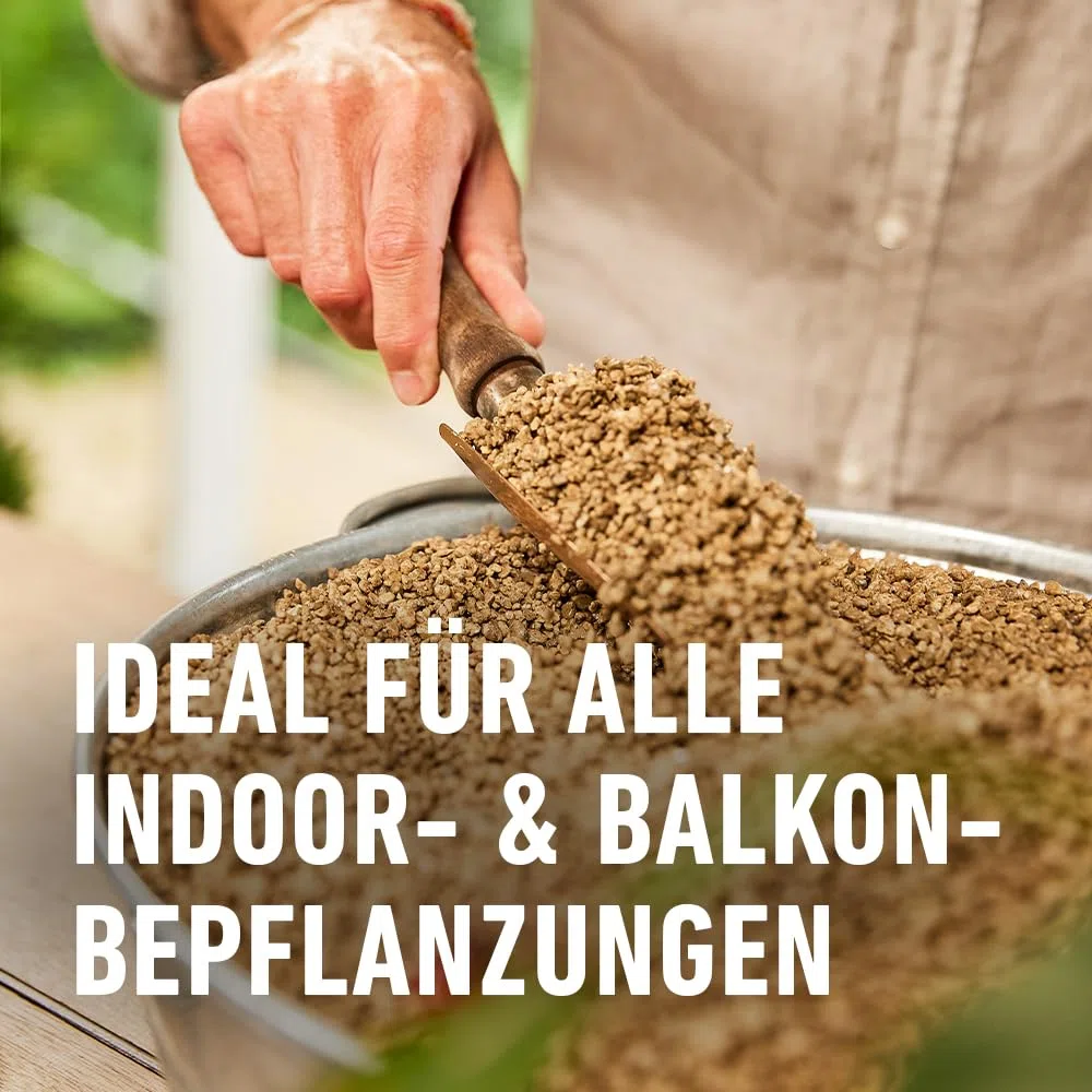 COMPO Gránulos orgánicos para Plantas de Interior – 100% Natural de Piedra pómez – Grano de 2 – 5 mm – 6 L