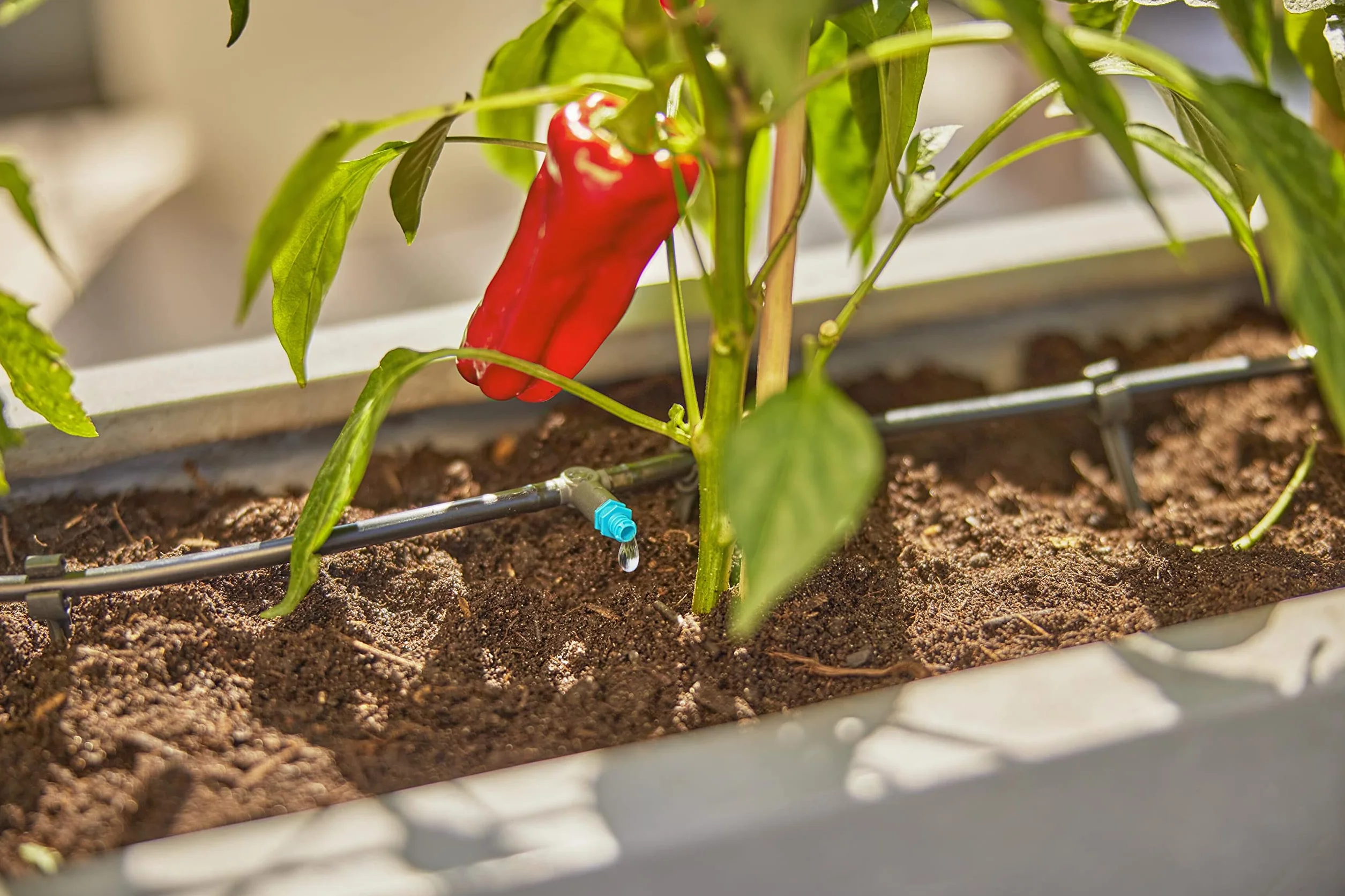 Gardena Sistema Micro-Drip Set de riego por Goteo para terraza (30 Plantas): Set de Inicio, de instalación inmediata, Sistema de riego eficiente, técnica de conexión fácil & Flexible (13400-20)