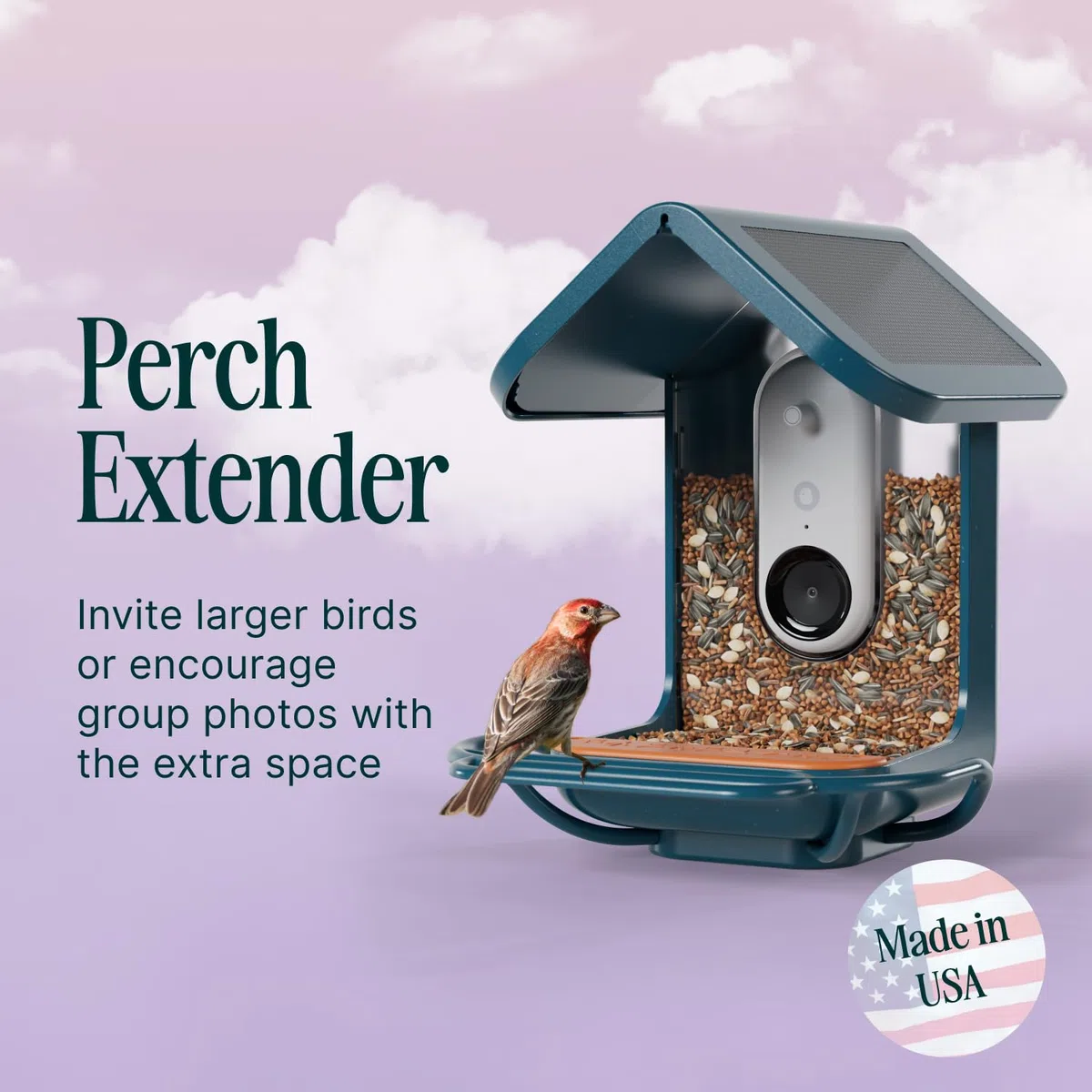 BIRD BUDDY® Extensor de Percha Original para comedero Inteligente para pájaros con cámara (Azul)