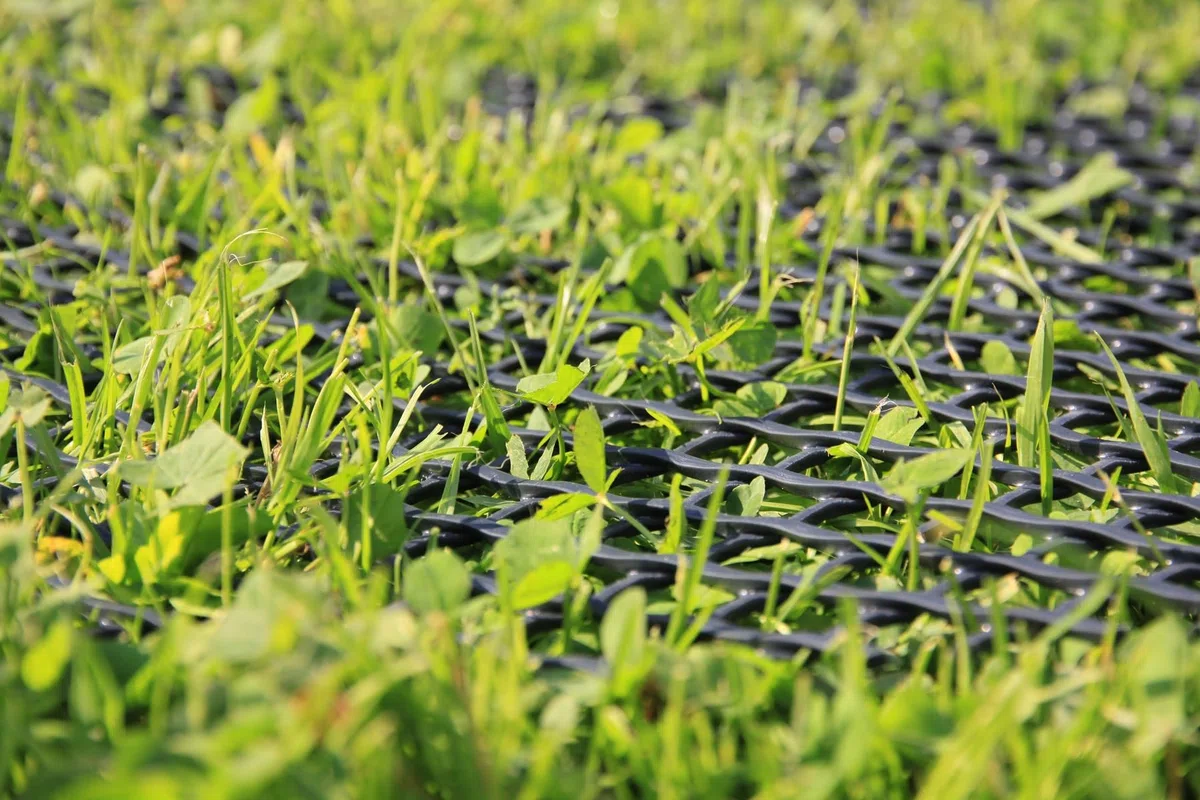 EraGreen - Rejilla de protección para césped, 1,3 m x 5 m, 5 estacas, estable y transitable, para jardín, callejón, pollo y terraplén