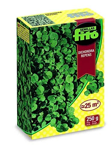 Semilla Dichondra Repens - 250 g