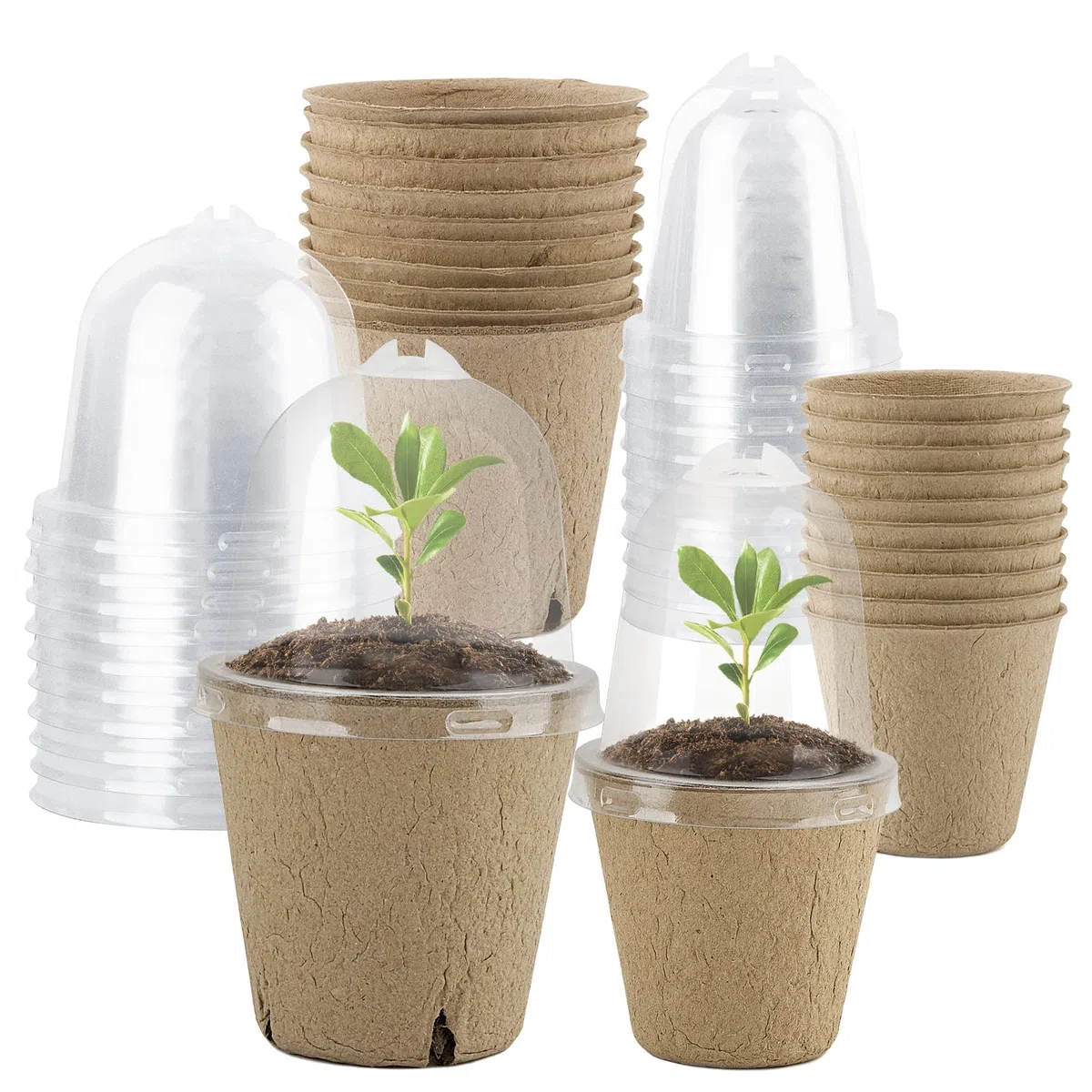 20pcs Semilleros Germinación Biodegradables Macetas Semillas para Germinación con Tapa Transparente Maceteros Biodegradables Pequeñas con Agujeros para Plantar Invernadero Huerto Jardín
