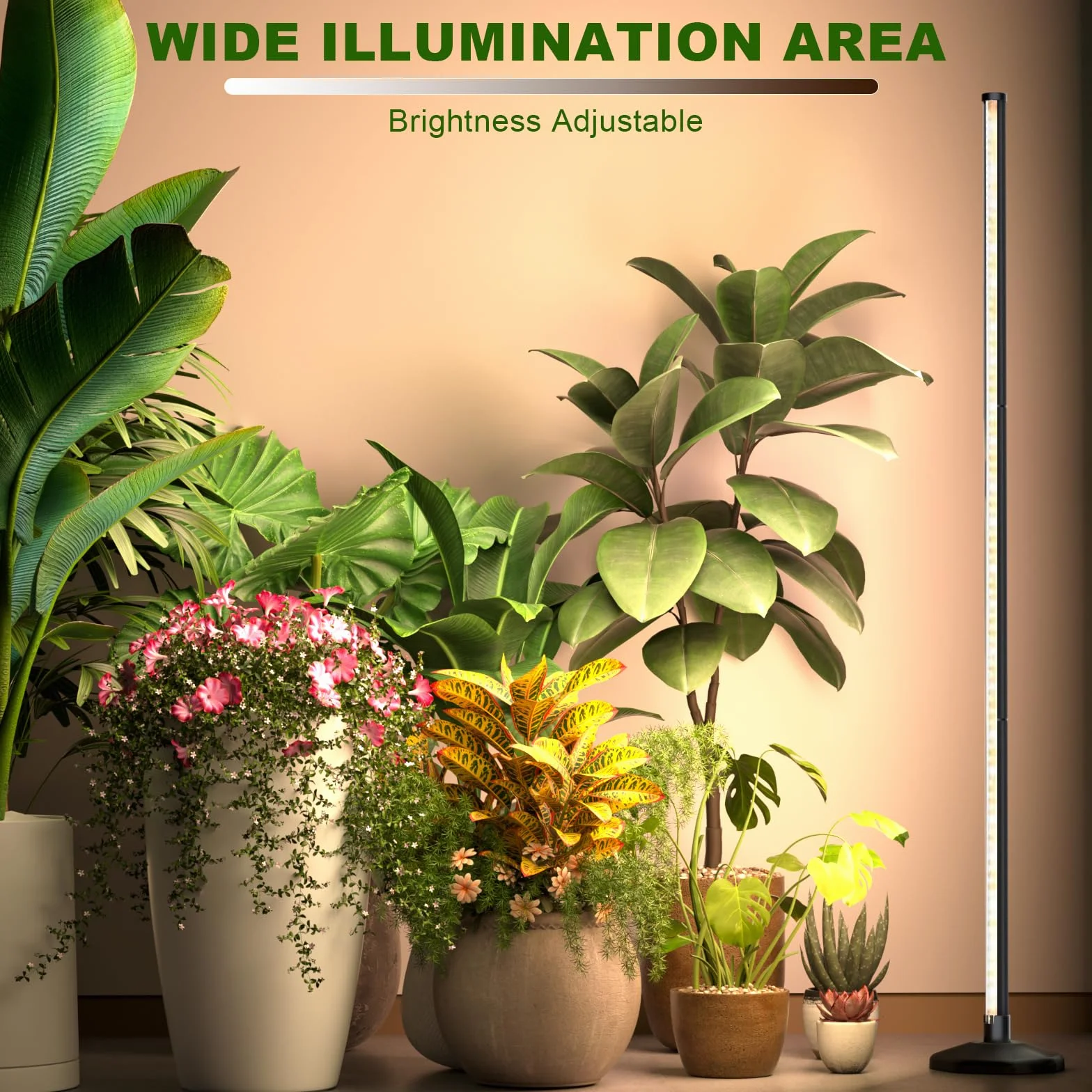 bedee Lámpara LED para Plantas de Interior: Luz para Plantas Espectro Completo de 6000K para Germinación con Temporizador y Lámpara Ajustable en 10 Niveles para Invernadero con Accesorios para Colgar