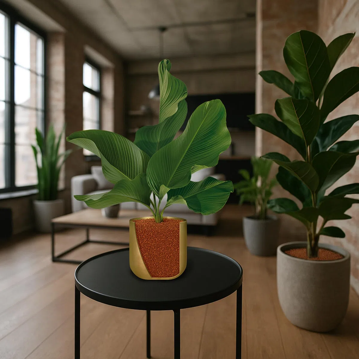 Seramis granulado para Plantas Interiores, 2,5 l – gránulos de Arcilla expandida para el Almacenamiento de Agua y de los nutrientes Importantes