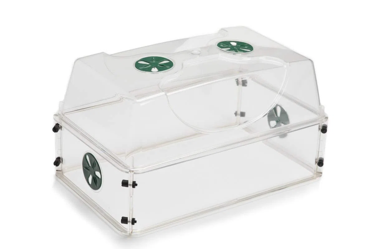 EarlyGrow MPL50119 propagador mediano a prueba de roturas con juegos de extensores de altura (mediano con un juego de extensor)