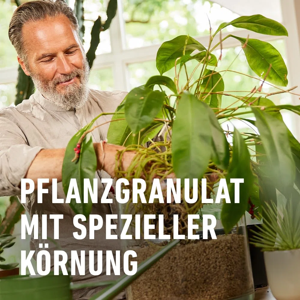 COMPO Gránulos orgánicos para Plantas de Interior – 100% Natural de Piedra pómez – Grano de 2 – 5 mm – 6 L