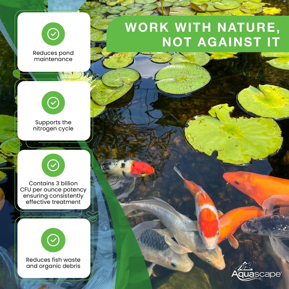 Aquascape Bacterias beneficiosas secas para estanques y características de Agua, 7 Libras | 98950, Blanco
