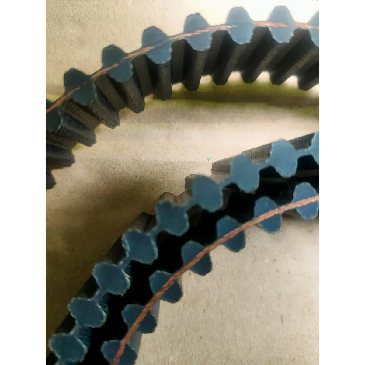 Correa dentada 1600DS8M20-1600/20 adecuada 135065600/0-135065605/0 para tractor CastelGarden TC102 TwinCut