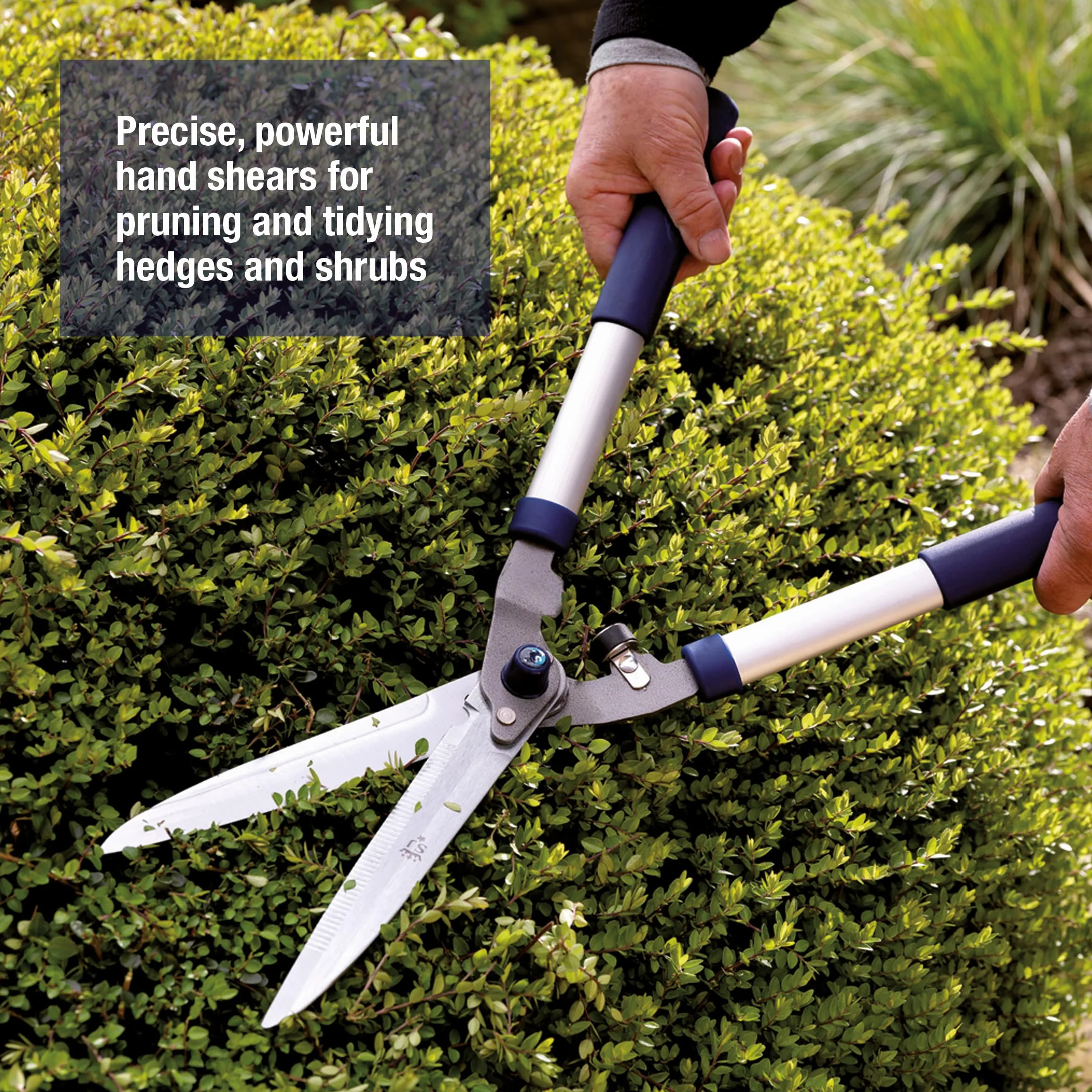 Spear & Jackson 8110RS Tijera de seto Dentada Razorsharp