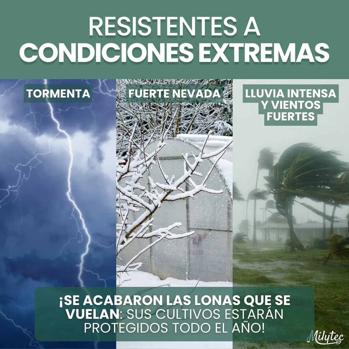 Lote de 50 clips para invernadero, diámetro 25x30 mm, de acero inoxidable, clips de fijación de metal para lona de invernadero de túnel para jardín