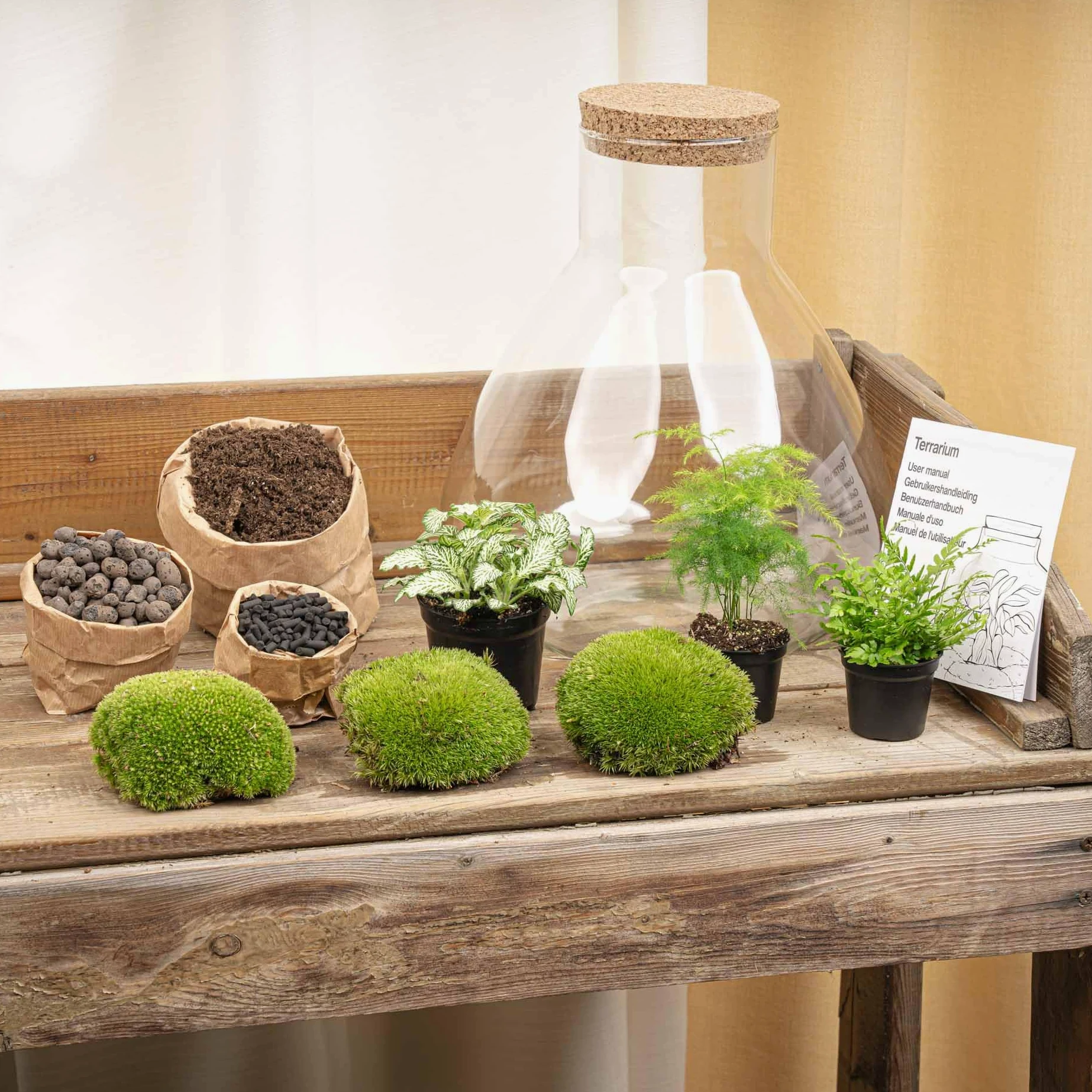urbanjngl - Terrario para plantas Sam XL con luz - Kit de bricolaje para un ecosistema sostenible - Diámetro 30 cm, altura 32 cm - Ideal para amantes de las plantas y diseño creativo