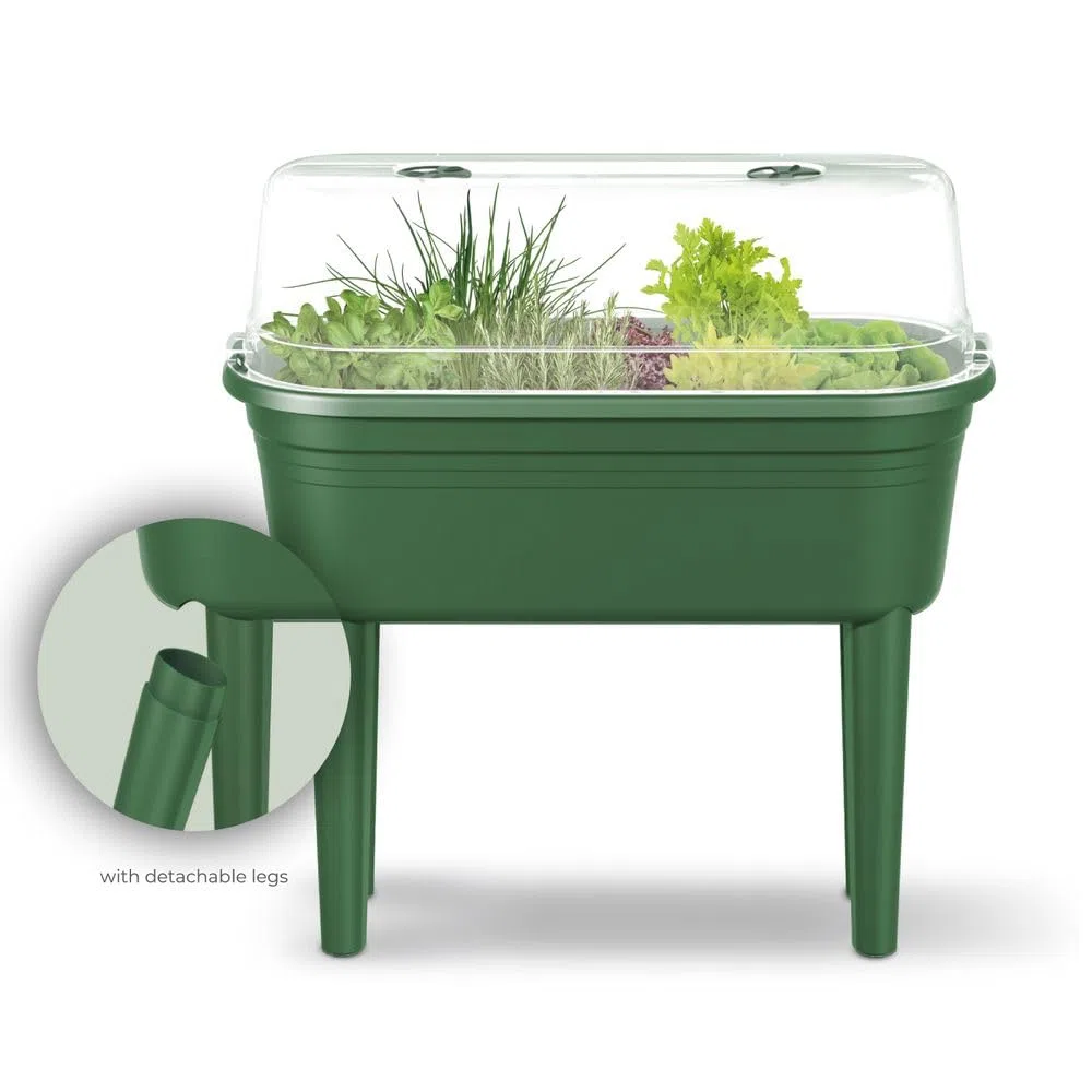 FLORUS Grow Table Set - Jardinera por Exterior cultívalo tú Mismo - Invernadero Incluido - 26.4 x 37.0 x 78.0 - Verde/Green