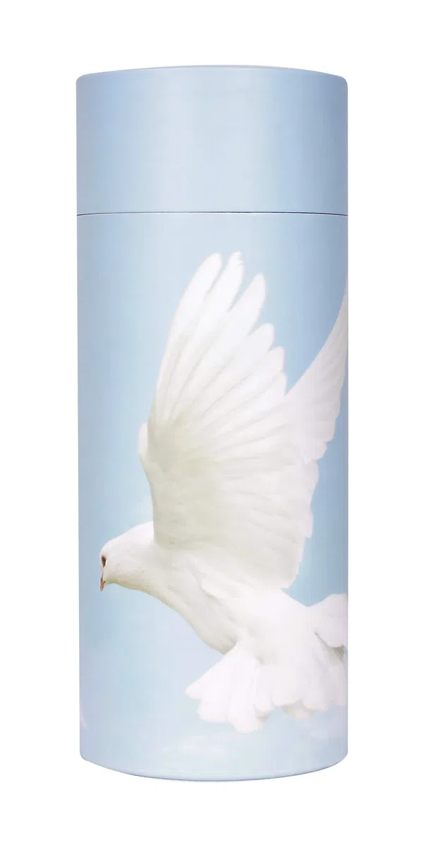 Urna de Cenizas dispersas, ecológica, Biodegradable, Tubo de dispersión (Paloma voladora), Paloma voladora, Large