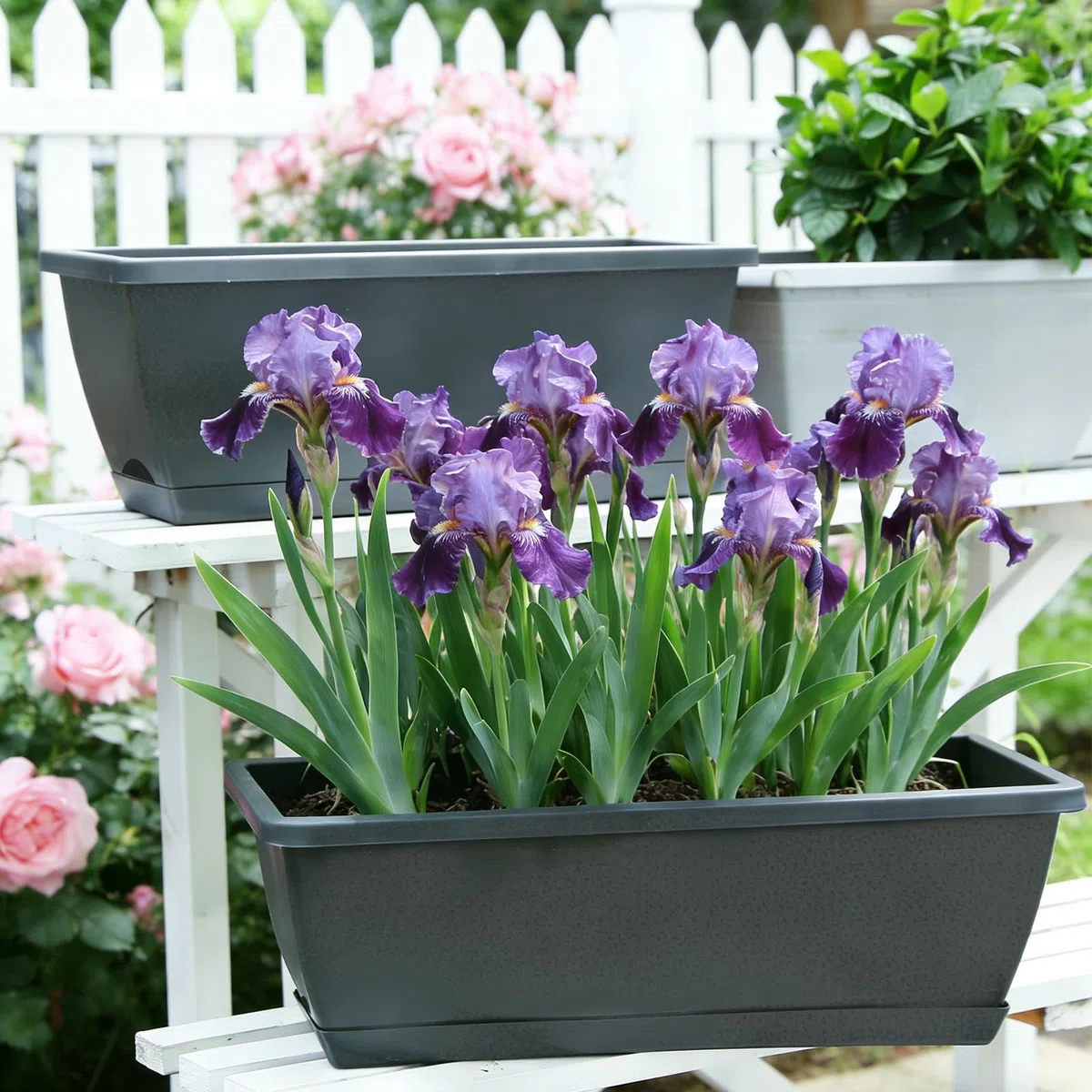 Jardineras Exterior, Juego de 6 Piezas Jardinera Balcon, Jardinera para Alféizar de Ventana Exterior con Depósito/Platillo de Agua, Macetas de Plástico para Balcón y Terraza
