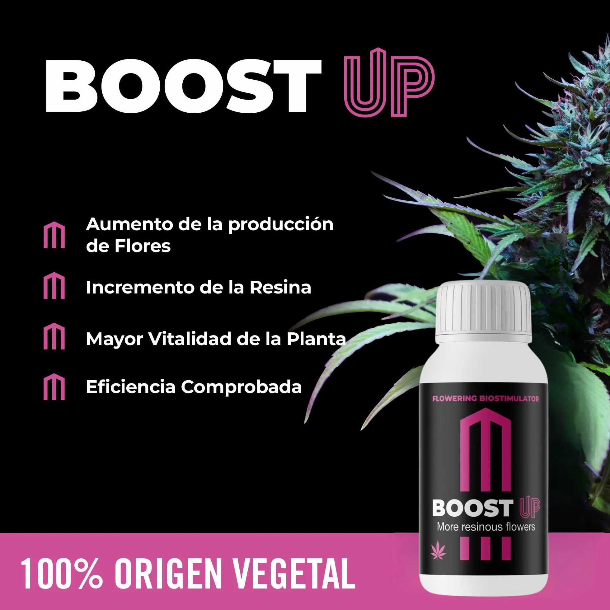 GROWMANIA Bio Grow de BioBizz 5L + Muestra Boost Up + Vaso Medidor | Biogrow Fertilizante Orgánico para Crecimiento Extenso | Ideal para Jardines Grandes y Huertos
