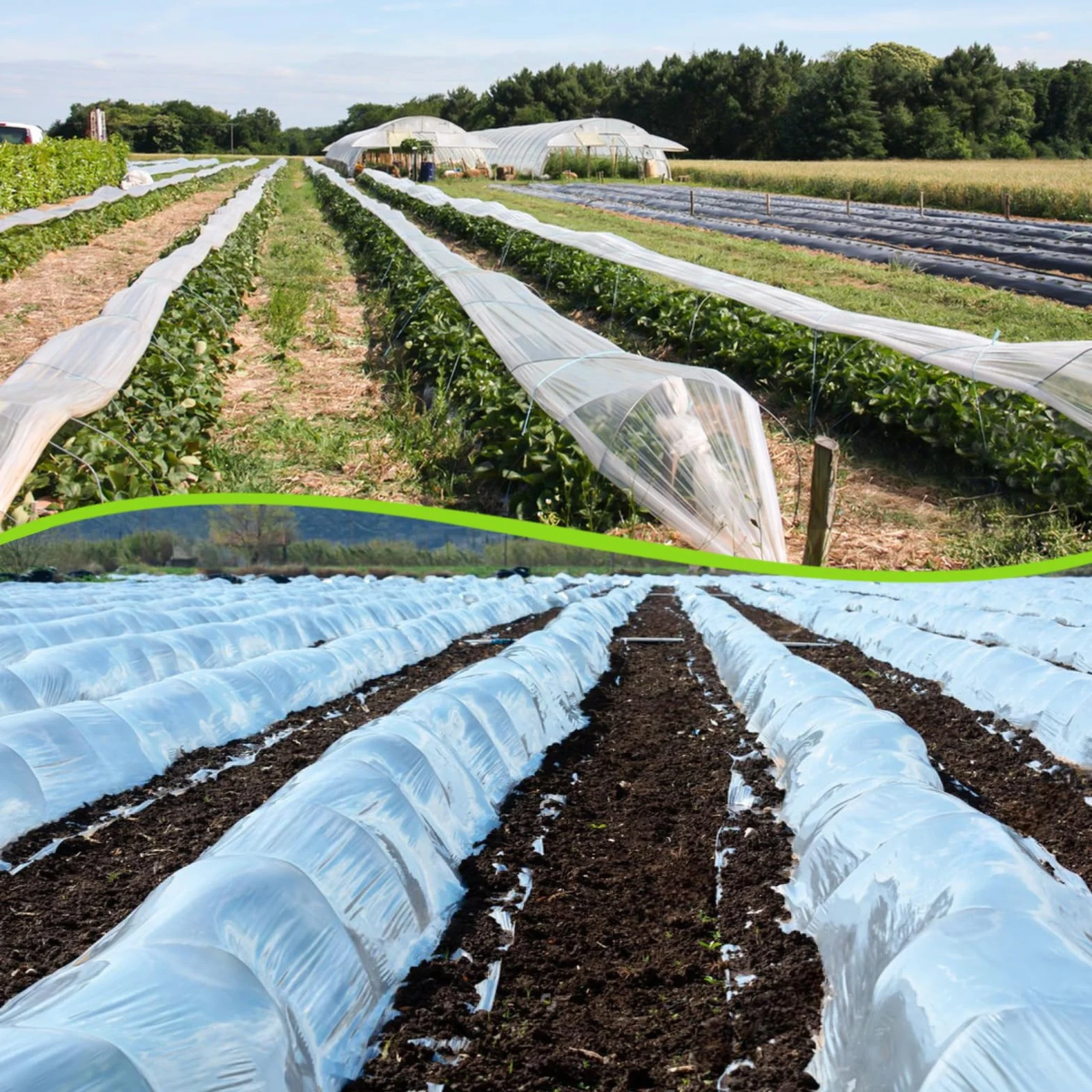 Plastico Invernadero 3m x 10m, Película de Polietileno Transparente para Invernadero, para Jardinería, Casa de Tomates