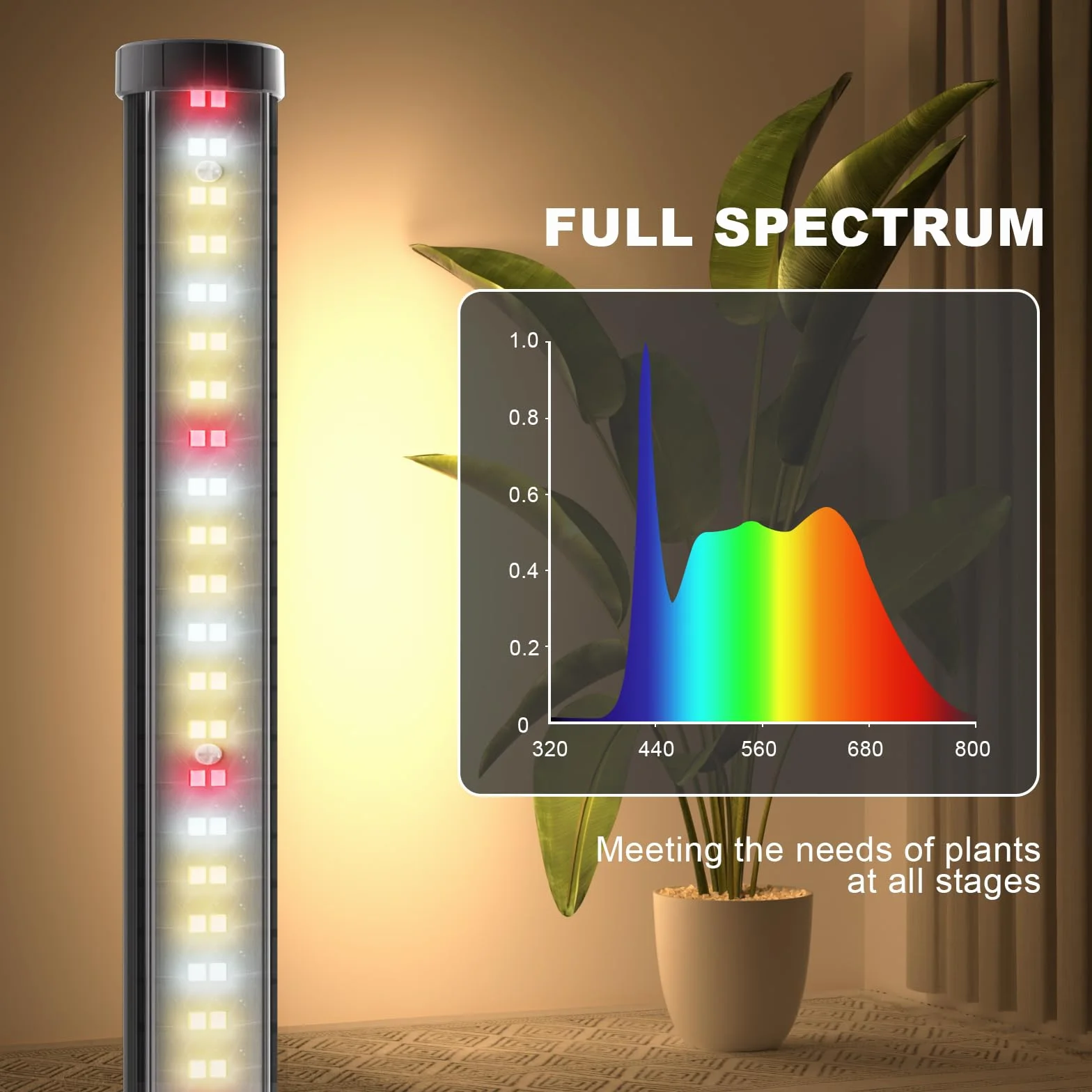 bedee Lámpara LED para Plantas de Interior: Luz para Plantas Espectro Completo de 6000K para Germinación con Temporizador y Lámpara Ajustable en 10 Niveles para Invernadero con Accesorios para Colgar