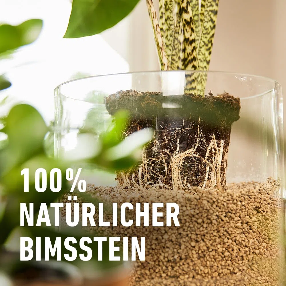 COMPO Gránulos orgánicos para Plantas de Interior – 100% Natural de Piedra pómez – Grano de 2 – 5 mm – 6 L