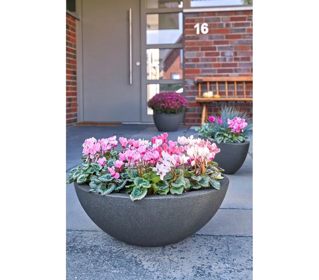 Dehner Cuenco Redondo, 52 cm de diámetro, 20 cm de Altura, Material plástico, Antracita