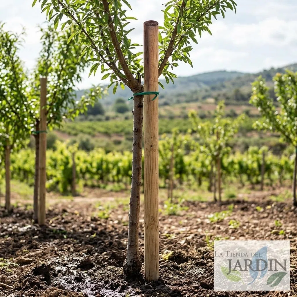 Suinga Estaca para Arboles 150 cm Ø 8 cm | Tutores con Punta | Poste para Vallas, Jardin y Plantas | Poste de Madera | Soporte para arboles