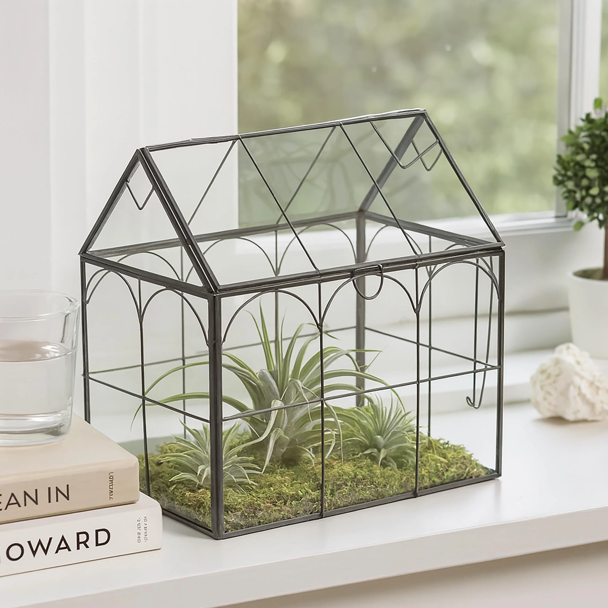 Relaxdays Terrario Plantas, Cristal y Estaño, Casa Decorativa Vidrio para Cactus y Musgo, Terrarium Alféizar, Negro