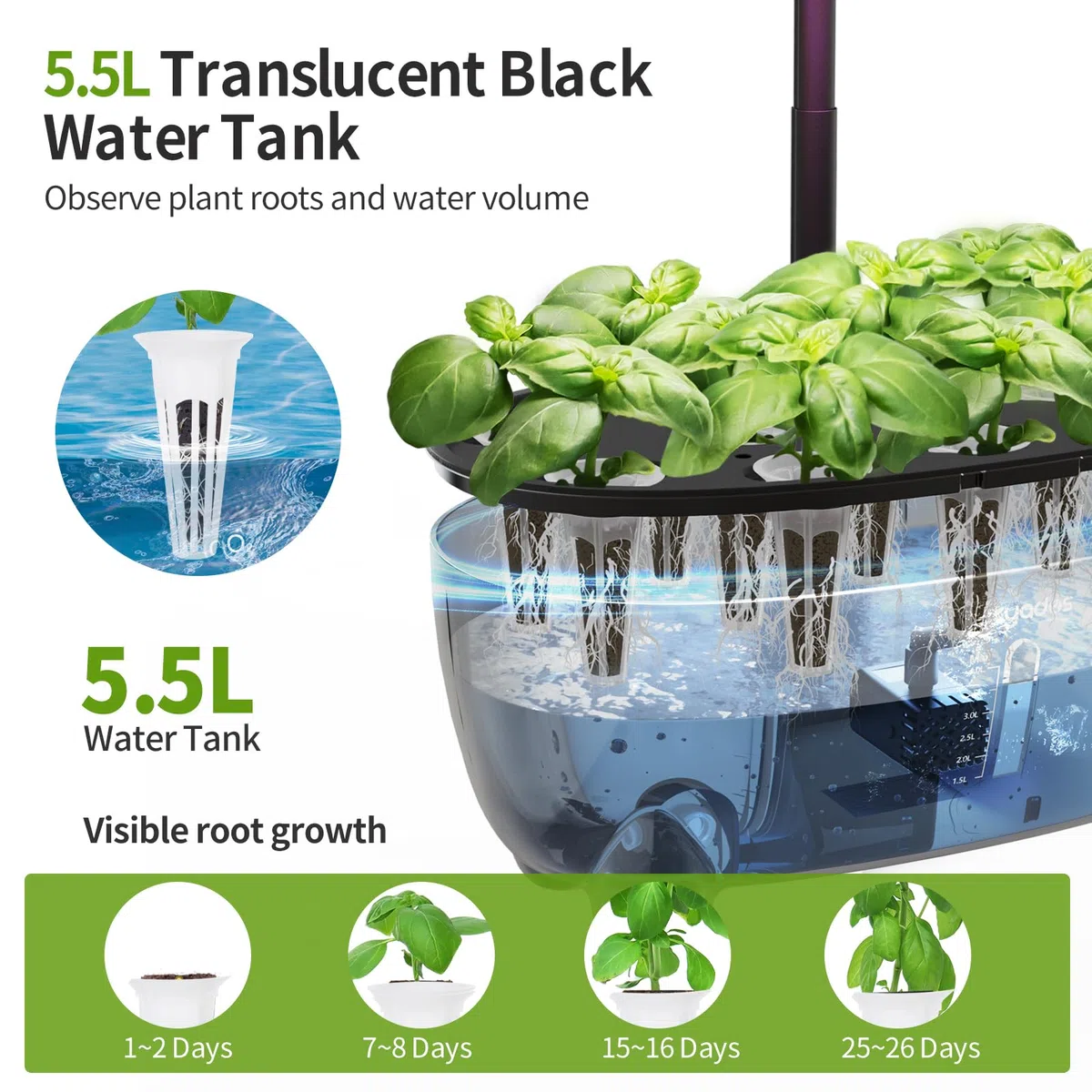 Kit de Sistema de Cultivo Hidropónico para Jardín de Hierbas en Interior de 12 Macetas con Luz de Crecimiento LED, Sistema de Jardinería Interior para Hierbas, Vegetales, Lechuga en Encimera