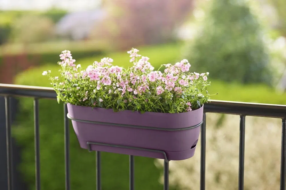 Elho Vibia Campana Trough Allin1 70 - Jardinera por Balcón - Ø 70.4 x H 17.7 cm - Morado Arce