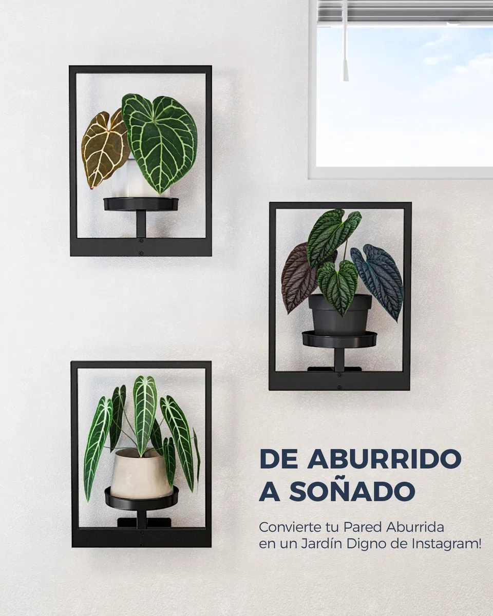 Bamworld Soporte Plantas Interior, Macetero Colgante para Pared, Estantería para Plantas, Porta Macetas, Pedestal para Plantas de Interior, Juego de 3 para Entrada Exterior