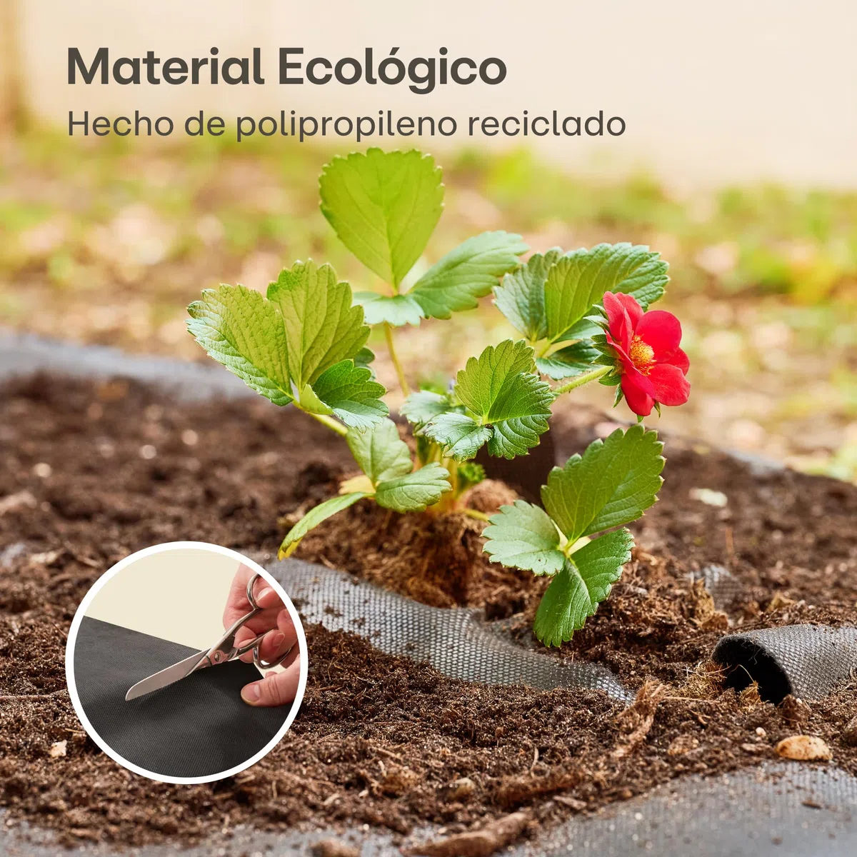 Praknu Malla Antihierbas Huerto - Tela 100g/m2-50m2 en Rollo - con 24 Grapas de Sujeción - Permeable & Resistente - Estable Ante UV - para Jardin - Negro