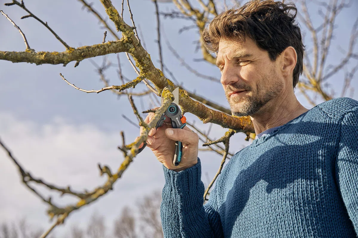 Gardena Tijeras de podar ExpertCut: tijeras de podar precisas, filo de corte de desviación para ramas/árboles frutales, Ø de corte máx. de 22 mm, apertura del mango en 2 posiciones (12203-20)