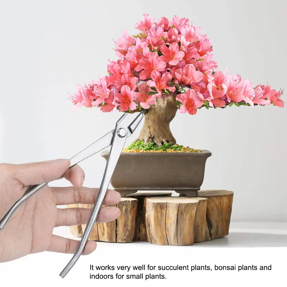 Duokon Herramienta de Corte de Bonsai, Cortador de Perilla de Acero Inoxidable para Cuidado de Jardines con alicates de Corte de jardinería de Borde Redondo Herramientas de Bonsai