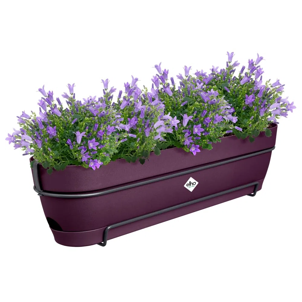 Elho Vibia Campana Trough Allin1 70 - Jardinera por Balcón - Ø 70.4 x H 17.7 cm - Morado Arce