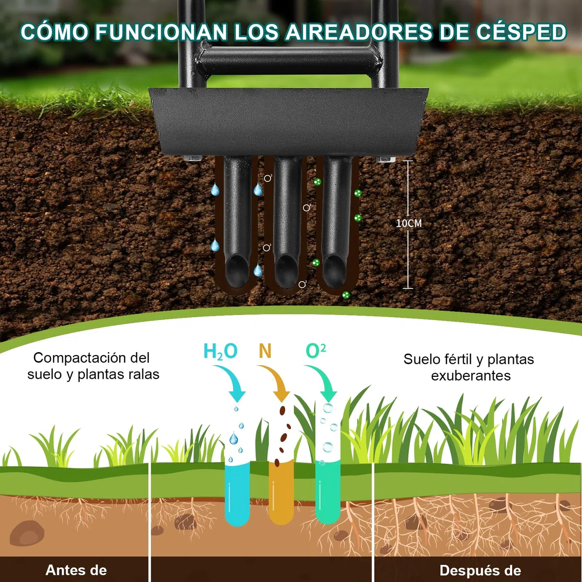 HYCHIKA Aireador de Césped, Aireador de Púas Huecas con 3 Púas Huecas, Caja de Recogida de la Columna de Tierra, Mango en T, Herramienta Manual de Aireación de Césped para Jardín, Cuidado del césped