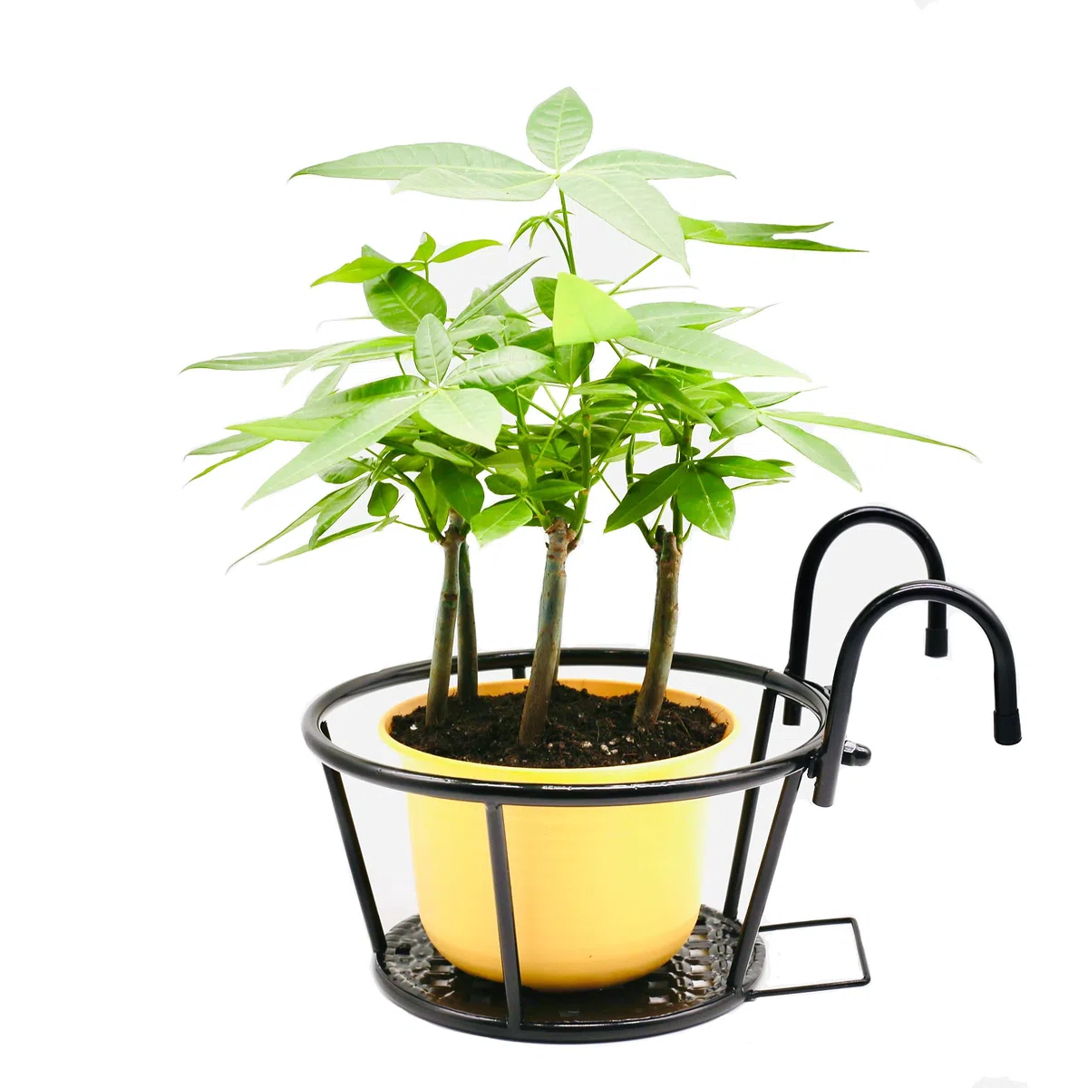 Cestas Colgantes de Hierro Forjado para jardinería, cestas Colgantes de Flores para Balcones del hogar, Productos de Hierro para Plantas cultivadas en el hogar Traje de Tres Piezas (Negro)