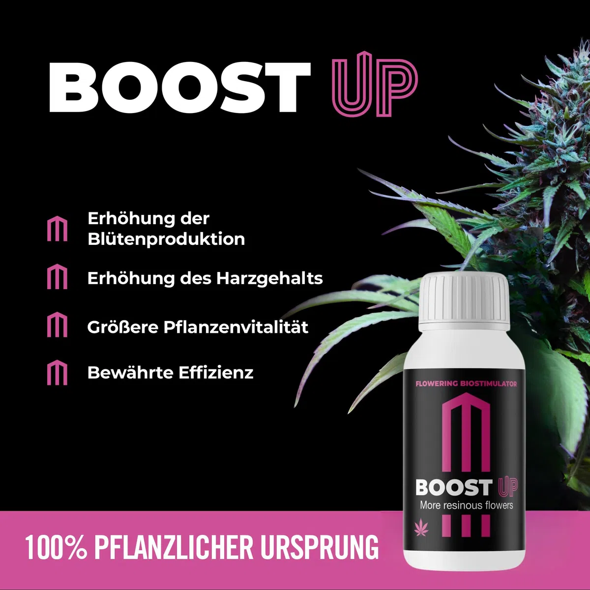 GROWMANIA Fertilizante Bio Grow de BioBizz 5 L + Muestra Boost Up de Up Nutrients + Vaso Medidor | Abono 100% Orgánico para Etapa de Aumento de Plantas y Cultivos | Sustrato Natural Todo Tipo Tierras