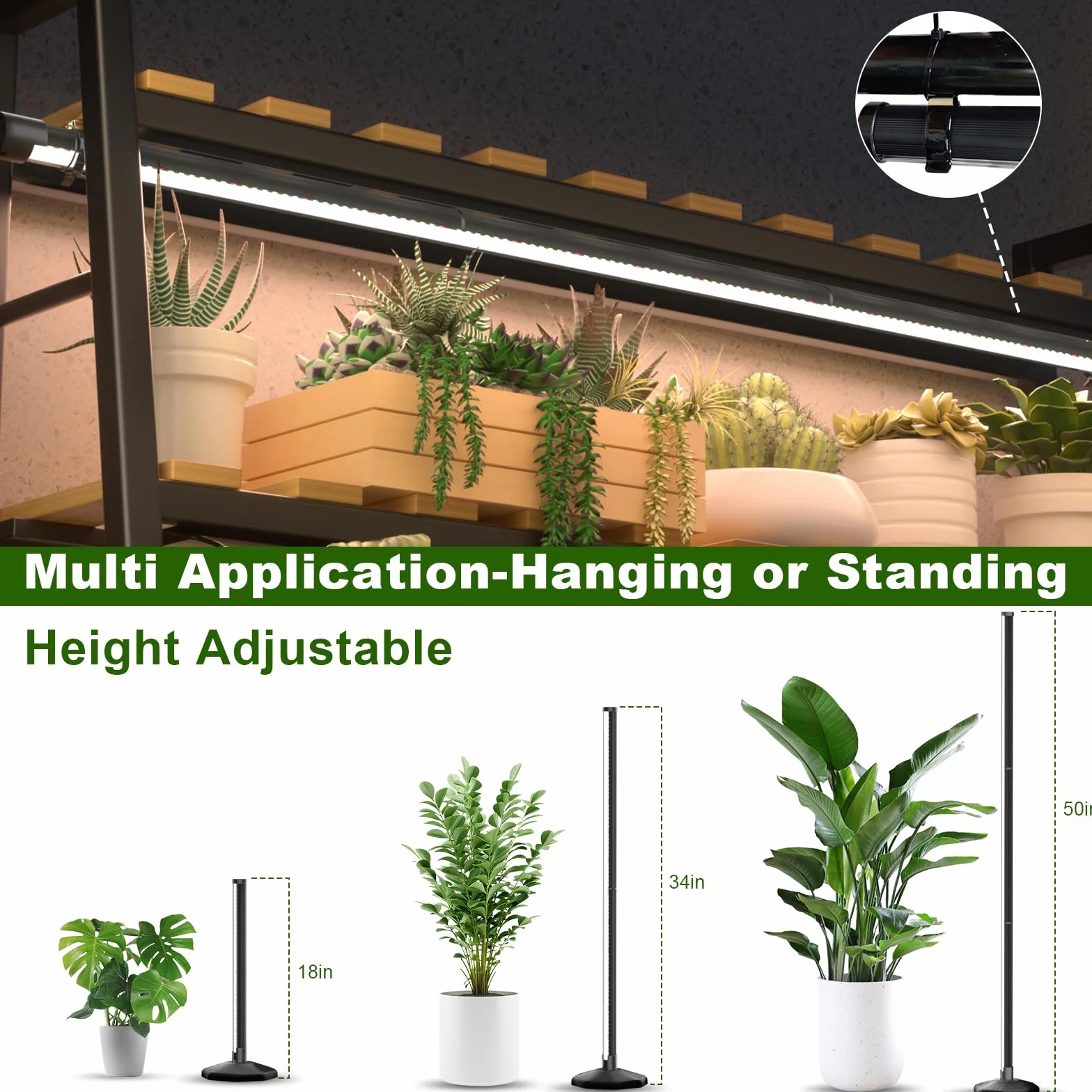 bedee Lámpara LED para Plantas de Interior: Luz para Plantas Espectro Completo de 6000K para Germinación con Temporizador y Lámpara Ajustable en 10 Niveles para Invernadero con Accesorios para Colgar