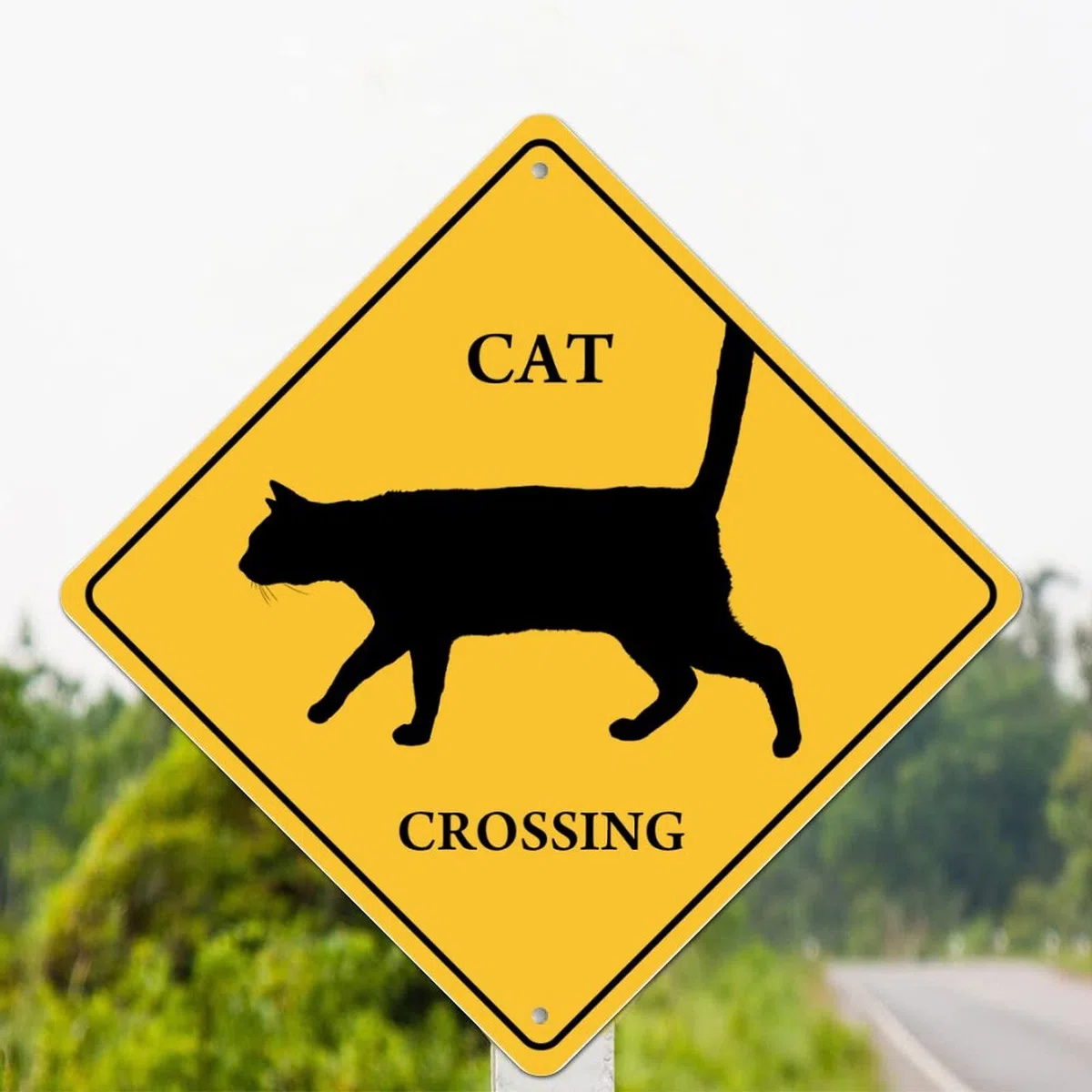 Placa de metal para gato Xing gato cruce señal de advertencia precaución cuidado con la zona de cruce de gatos resistente a la intemperie, letrero de aluminio retro para decoración de jardín de