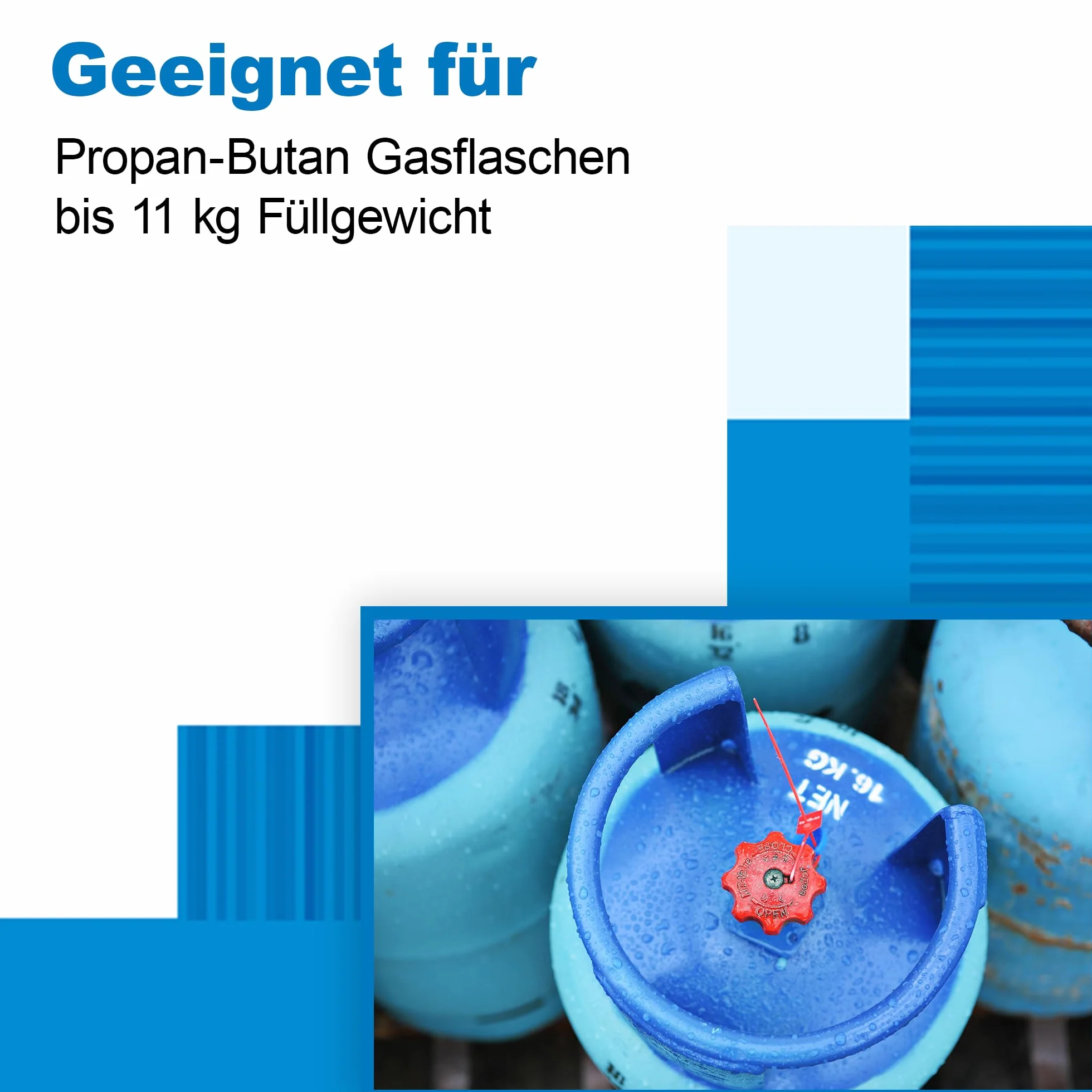 Berger - Regulador gas