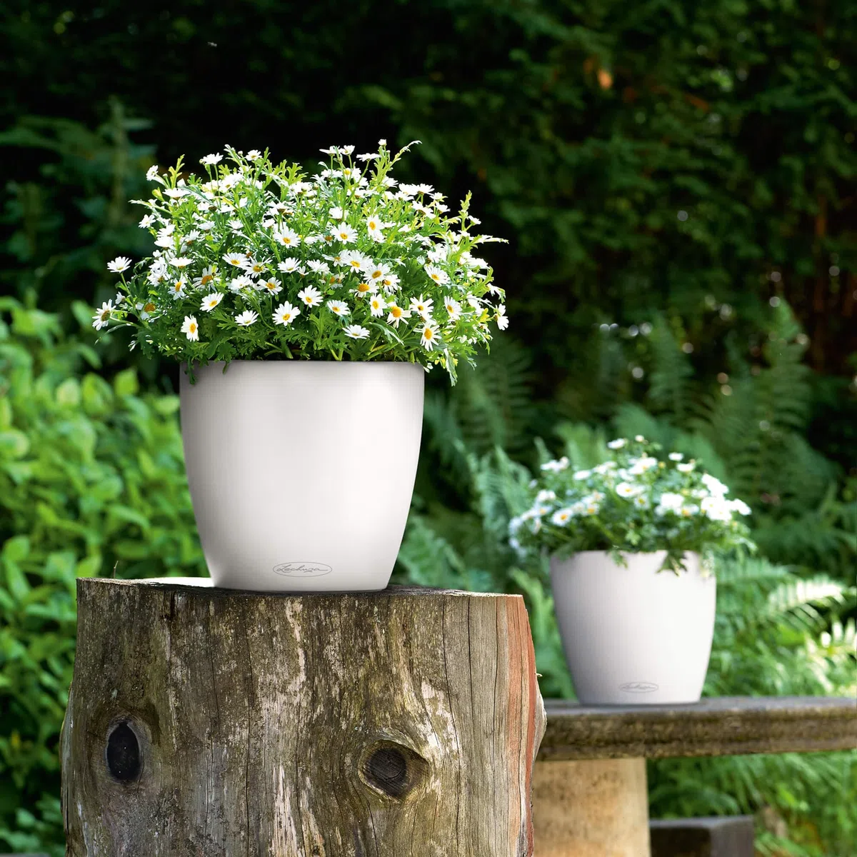LECHUZA Maceta con Sistema de riego automático, 28 cm, Blanco, Classico