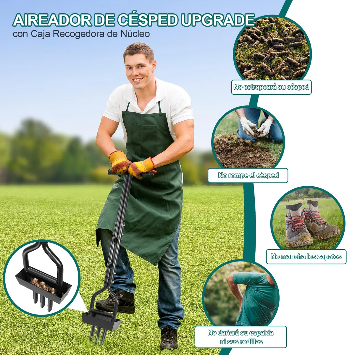 HYCHIKA Aireador de Césped, Aireador de Púas Huecas con 3 Púas Huecas, Caja de Recogida de la Columna de Tierra, Mango en T, Herramienta Manual de Aireación de Césped para Jardín, Cuidado del césped