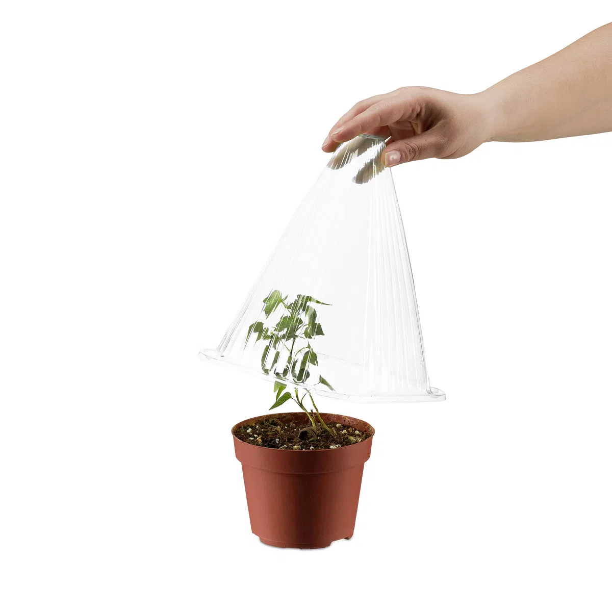 Relaxdays 96 x Campana para Plantas, protección contra Caracoles, heladas, HBT: 22 x 19 x 19 cm, PVC, Transparente