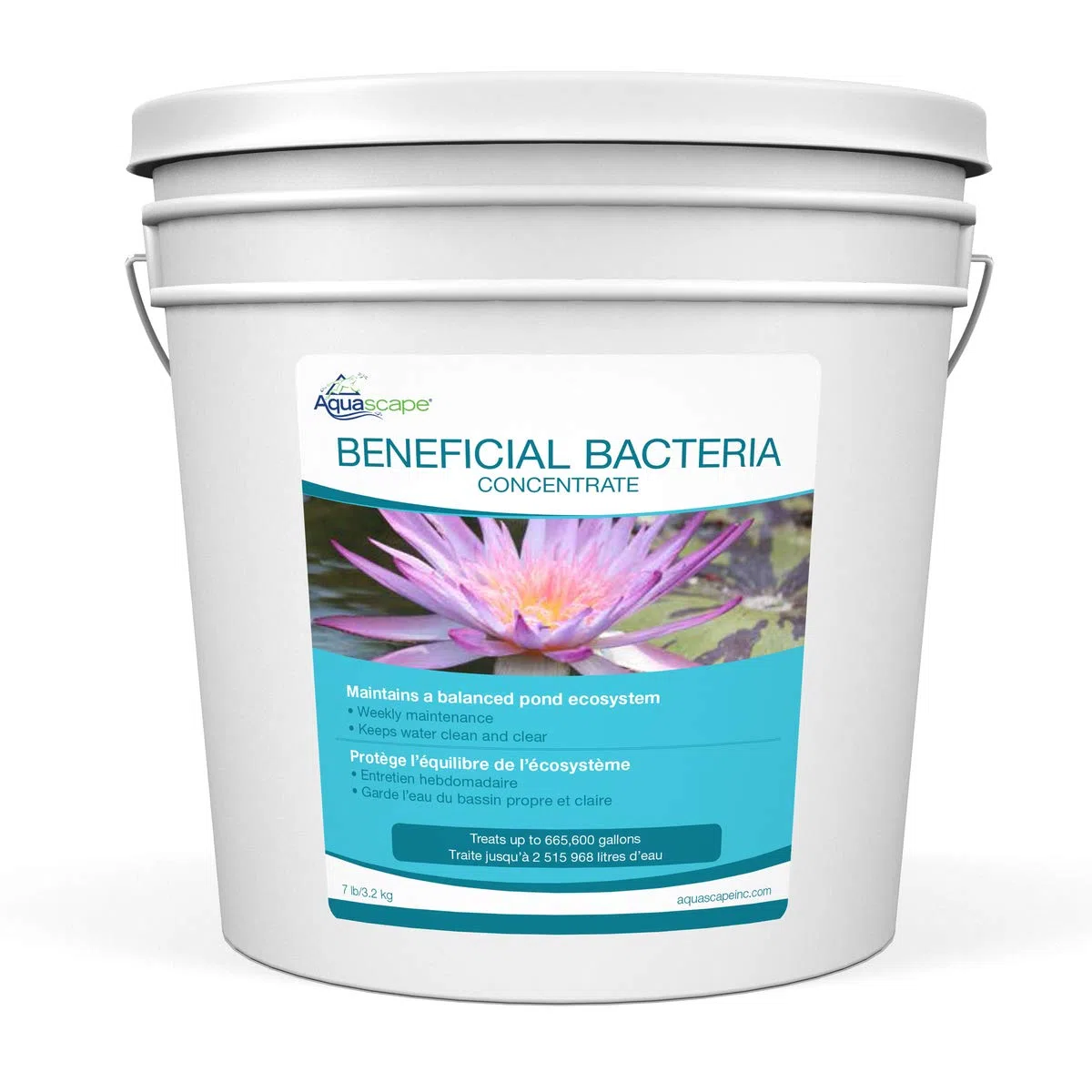 Aquascape Bacterias beneficiosas secas para estanques y características de Agua, 7 Libras | 98950, Blanco