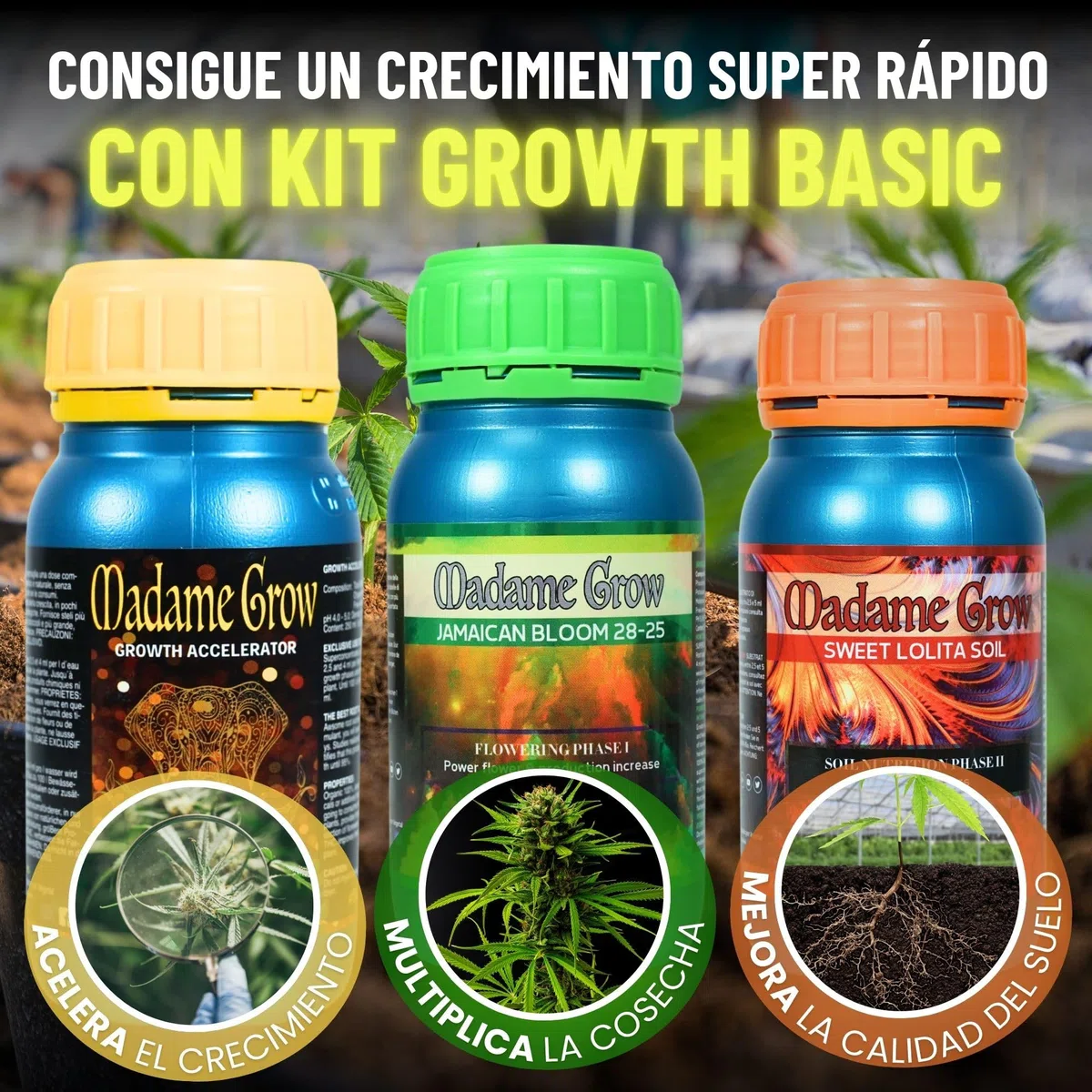 Madame Grow Kit Basic 3x250ml — Pack Fertilizantes Orgánicos Crecimiento y Floración, Abono Líquido Superconcentrado