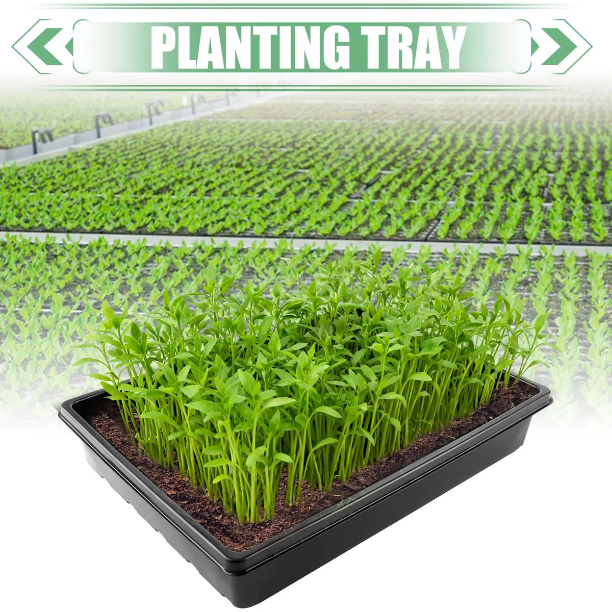 JMIATRY 12 Unidades Semilleros de Germinacion Sin Agujeros Negro 39x29x6,5 cm Bandeja Semillero de Cultivo PS para Plantas y Semillas, Jardineria Interior