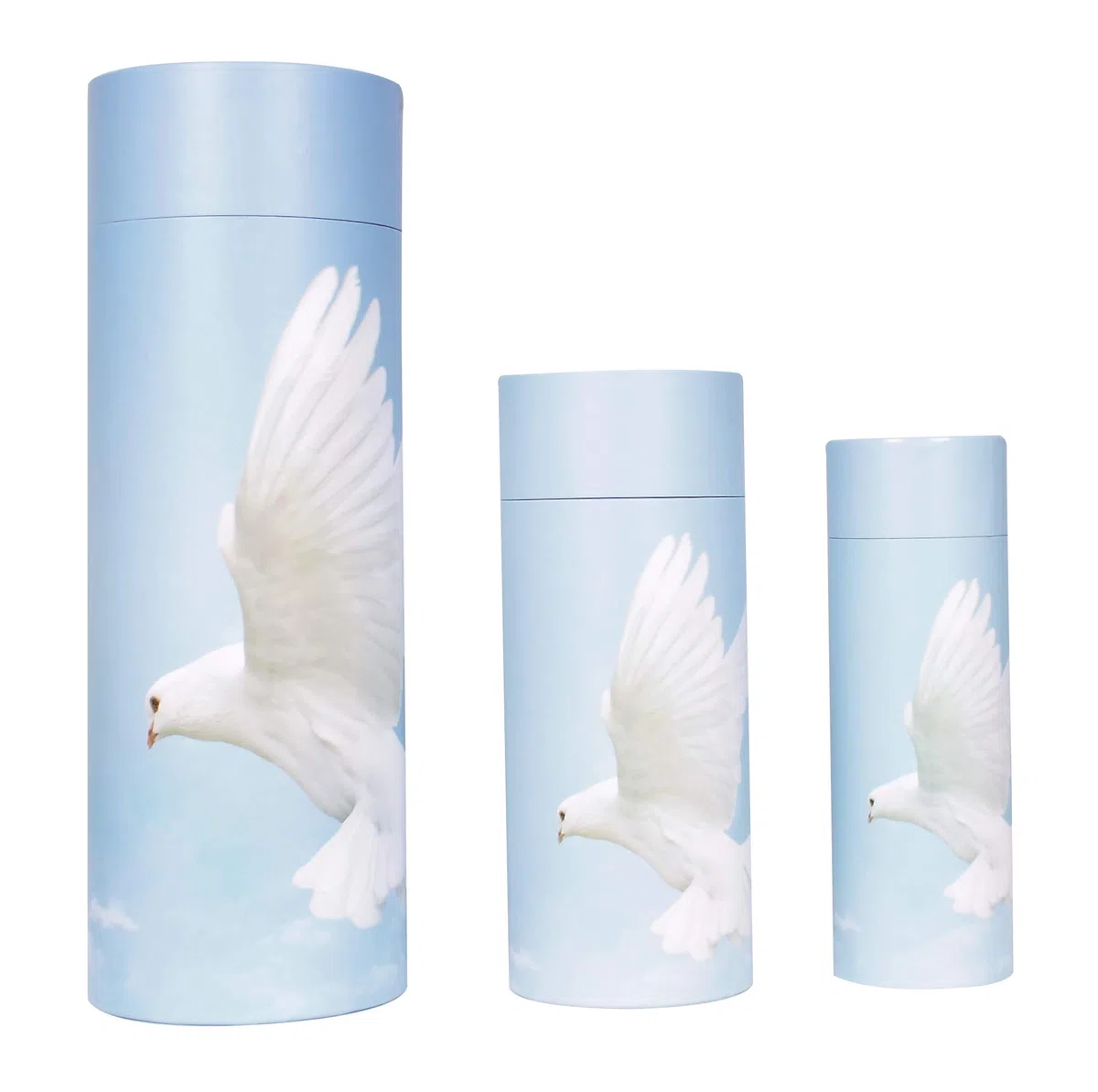 Urna de Cenizas dispersas, ecológica, Biodegradable, Tubo de dispersión (Paloma voladora), Paloma voladora, Large