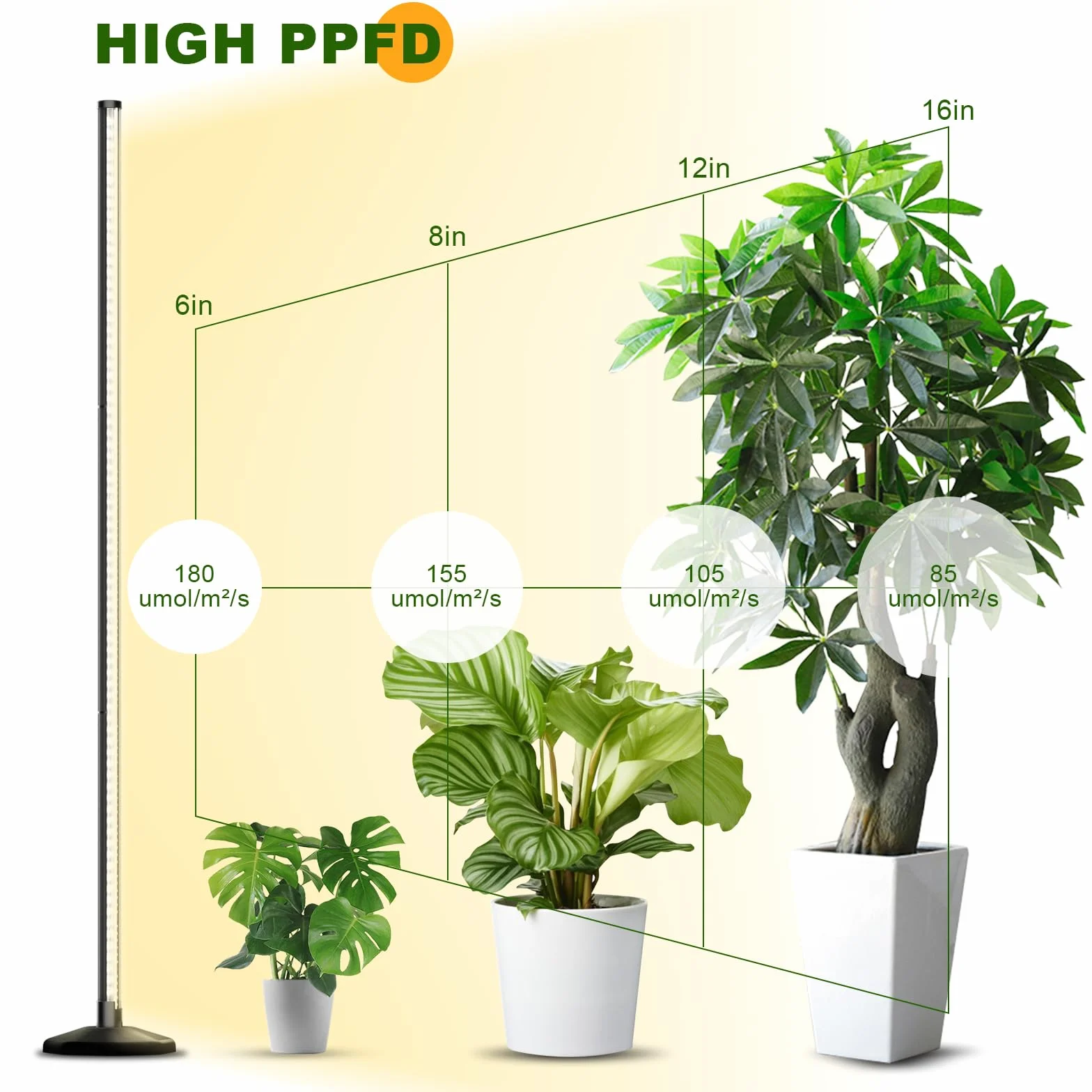 bedee Lámpara LED para Plantas de Interior: Luz para Plantas Espectro Completo de 6000K para Germinación con Temporizador y Lámpara Ajustable en 10 Niveles para Invernadero con Accesorios para Colgar