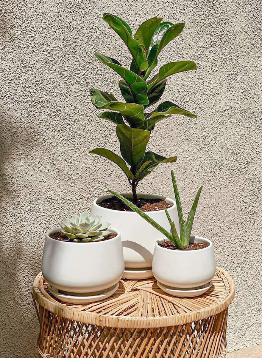 LE TAUCI Macetas, 10+12.5+16.5 cm Macetero, Juego de 3 Macetas de Cerámica con Agujero de Drenaje y Platillo, Macetas Decorativas Interior con Almohadilla de Malla, Regalos para Mamá, Blanco