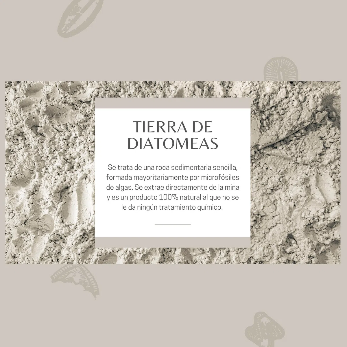 Tierra de Diatomeas Micronizada - 100% Natural y Ecológica - Saco de 20 kg y Botella pulverizadora - Múltiples Usos en Agricultura, Mascotas y Superficies